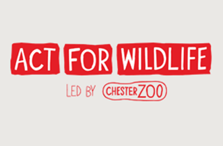 ActForWildlifePromo.png